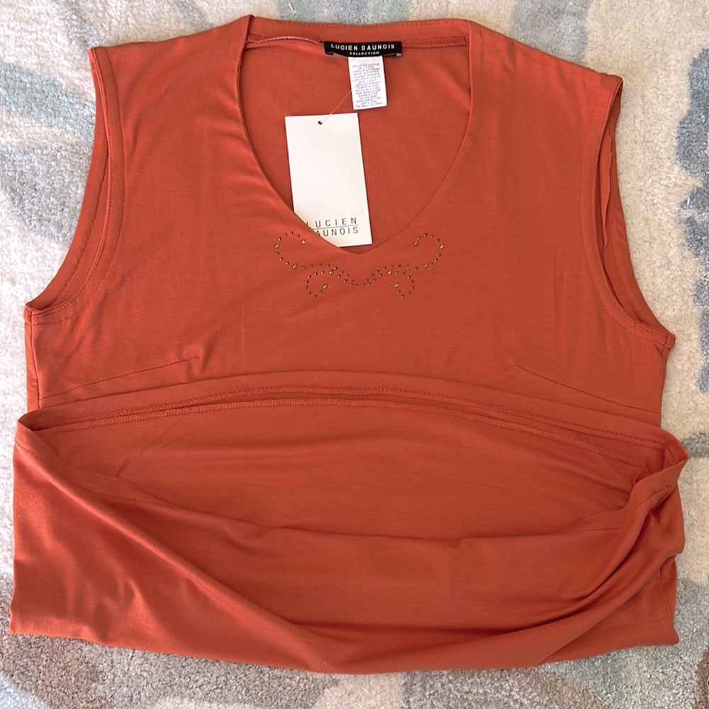 Burnt-Orange V-neck Sleeveless Blouse - Picture 6 of 10